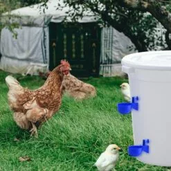 REGALOS Lot De 6 Abreuvoirs Automatiques 3/8", Abreuvoirs Automatiques Pour Poulet, Abreuvoirs Poulet Canard Dinde (bleu) -Poulailler et élevage de la basse-cour Soldes Magasin 61660473 5