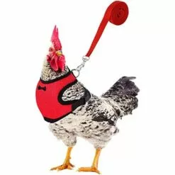 REGALI Sangles De Harnais De Poulet Réglables Tablier De Poule Débardeur Confortable Et Respirant Pour Poulet, Canard Ou Oie (rouge S)