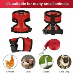 REGALI Sangles De Harnais De Poulet Réglables Tablier De Poule Débardeur Confortable Et Respirant Pour Poulet, Canard Ou Oie (rouge S) -Poulailler et élevage de la basse-cour Soldes Magasin 61660534 4
