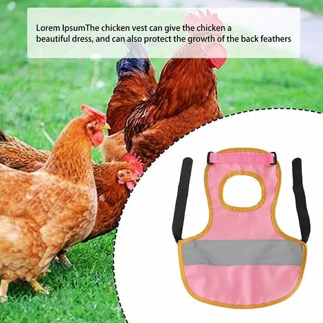 REGALOS Vêtements De Poulet, Tablier De Protection Robuste Pour Poulet Et Canard (rose) 1 REGALOS Vêtements De Poulet, Tablier De Protection Robuste Pour Poulet Et Canard (rose)