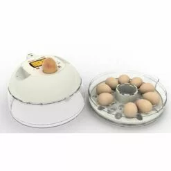 R-COM Couveuse RCOM 10 PRO PLUS -Poulailler et élevage de la basse-cour Soldes Magasin 6339785 4
