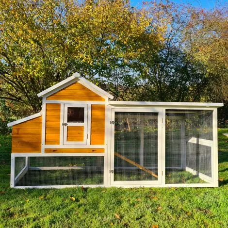 CHEMIN DES POULAILLERS Poulailler Toit Renforcé M Toit Plastique 6 À 8 Poules 2 CHEMIN DES POULAILLERS Poulailler Toit Renforcé M Toit Plastique 6 À 8 Poules – Image 2