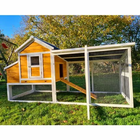 CHEMIN DES POULAILLERS Poulailler Toit Renforcé M Toit Plastique 6 À 8 Poules 3 CHEMIN DES POULAILLERS Poulailler Toit Renforcé M Toit Plastique 6 À 8 Poules – Image 3