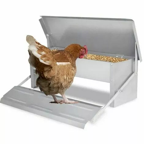 EINFEBEN Mangeoire Automatique Avec Couvercle Distributeur Automatique Auge Auge D’alimentation Résistante Aux Intempéries 5kg - Argent -Poulailler et élevage de la basse-cour Soldes Magasin 63762220 1