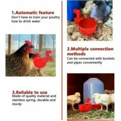 FOZIY 6pcs Automatiques Supplies Abreuvoir Poules Tasses à Bol Bol En Plastique, Volailles Distributeurs D'eau Automatique De L'eau Potable Tasses Pour Poussins Cailles Canards Bird，Fonepro -Poulailler et élevage de la basse-cour Soldes Magasin 63840560 3