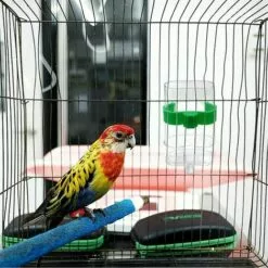 FOZIY 2 X Distributeur D'eau Pour Oiseaux Mangeoire Automatique Abreuvoir Pour Oiseaux Abreuvoir Pour Oiseaux，Fonepro -Poulailler et élevage de la basse-cour Soldes Magasin 63841774 4