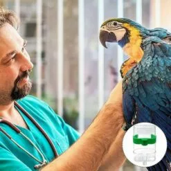 FOZIY 2 X Distributeur D'eau Pour Oiseaux Mangeoire Automatique Abreuvoir Pour Oiseaux Abreuvoir Pour Oiseaux，Fonepro -Poulailler et élevage de la basse-cour Soldes Magasin 63841774 5