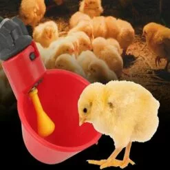 LITZEE BCC 6PCS Volaille Les Buveurs,Volaille Automatique Abreuvoir Portable,avec Tasses D'arrosage Tasses Bols Plastique Rouge Jardin Poulet Flock Duck Bird Feeder,pour Canard Pigeon Poule Oiseaux Red -Poulailler et élevage de la basse-cour Soldes Magasin 63867893 4