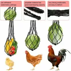 BAICCCF Accessoire Poulailler Lot De 4 Jouets De Poulet Pour Accessoires De Poulailler, Balançoire De Poulet, Xylophone, Mangeoire à Suspendre Pour Légumes, étagère à Fruits De Poulet Pour Coq De Volaille, Grand Oiseau, Perroquet, Cadeau De Divertissement. -Poulailler et élevage de la basse-cour Soldes Magasin 64107272 5