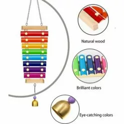 BAICCCF Accessoire Poulailler Lot De 4 Jouets De Poulet Xylophone Pour Poulailler, Brochettes De Légumes, Porte-fruits, Mangeoire Suspendue Pour Légumes Pour Accessoires De Poulailler, Jouets De Cloches De Poulet Pour Poules -Poulailler et élevage de la basse-cour Soldes Magasin 64107278 4