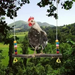 BAICCCF Accessoire Poulailler Lot De 2 Jouets De Balançoire De Poulet En Bois Naturel, Jouet De Support En Bois De Poulet, Accessoires De Poulailler, Jouet De Balançoire De Perruche De Poulet Pour Poules De Poulet, Perruche, Entraînement D'oiseaux -Poulailler et élevage de la basse-cour Soldes Magasin 64107295 4