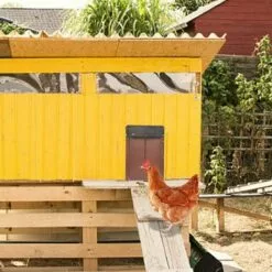 SLBRILLèRE Nouveau Porte Poulailler Automatique Etanche Avec Capteur De Lumière Porte De Poulailler Automatique à Induction à Pile,résistante Aux Prédateurs Facile à Installer 9 SLBRILLèRE Nouveau Porte Poulailler Automatique Etanche Avec Capteur De Lumière Porte De Poulailler Automatique à Induction à Pile,résistante Aux Prédateurs Facile à Installer -Poulailler et élevage de la basse-cour Soldes Magasin 64137487 5