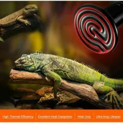CARILLONSàVENT 100W Émetteur Radiateur Animaux Ampoule Infrarouge Chauffage En Céramique,Lampe De Reptile Pour Amphibiens, Serpent, Oiseaux,Tortue, Chat, Chien Carivent -Poulailler et élevage de la basse-cour Soldes Magasin 64138912 4