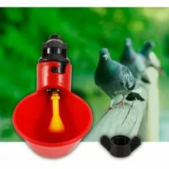 CARILLONSàVENT 5 Pcs En Abreuvoir Poules, Tasses Automatiques Automatique Chicken Acier Inoxydable Eau Côté Horizontal Mamelons Poulet Volaille Lapin Buveur Abreuvoir Nipple (Bol à Eau à Vis Fixe) Carivent 7 CARILLONSàVENT 5 Pcs En Abreuvoir Poules, Tasses Automatiques Automatique Chicken Acier Inoxydable Eau Côté Horizontal Mamelons Poulet Volaille Lapin Buveur Abreuvoir Nipple (Bol à Eau à Vis Fixe) Carivent -Poulailler et élevage de la basse-cour Soldes Magasin 64141695 3