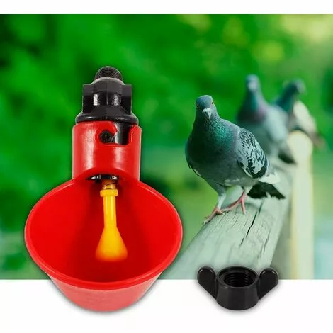 CARILLONSàVENT 5 Pcs En Abreuvoir Poules, Tasses Automatiques Automatique Chicken Acier Inoxydable Eau Côté Horizontal Mamelons Poulet Volaille Lapin Buveur Abreuvoir Nipple (Bol à Eau à Vis Fixe) Carivent 3 CARILLONSàVENT 5 Pcs En Abreuvoir Poules, Tasses Automatiques Automatique Chicken Acier Inoxydable Eau Côté Horizontal Mamelons Poulet Volaille Lapin Buveur Abreuvoir Nipple (Bol à Eau à Vis Fixe) Carivent – Image 3