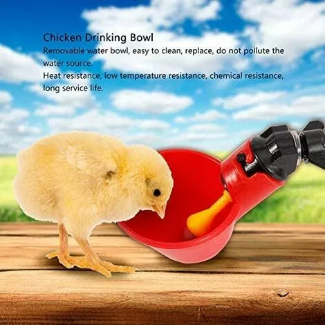 CARILLONSàVENT 5 Pcs En Abreuvoir Poules, Tasses Automatiques Automatique Chicken Acier Inoxydable Eau Côté Horizontal Mamelons Poulet Volaille Lapin Buveur Abreuvoir Nipple (Bol à Eau à Vis Fixe) Carivent 5 CARILLONSàVENT 5 Pcs En Abreuvoir Poules, Tasses Automatiques Automatique Chicken Acier Inoxydable Eau Côté Horizontal Mamelons Poulet Volaille Lapin Buveur Abreuvoir Nipple (Bol à Eau à Vis Fixe) Carivent – Image 5