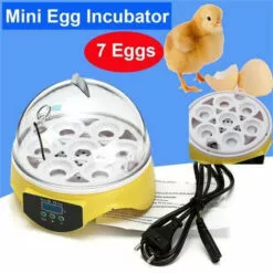 Mini Incubateur D'Oeufs Jaune 1pcs FUIENKO -Poulailler et élevage de la basse-cour Soldes Magasin 64473014 3