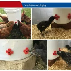 REGALOS Lot De 20 Tétines De Poulet à Montage Latéral Horizontal Pour Volaille, Tétine D'abreuvoir à L'extérieur Pour Poulet, Canard, Caille Et Autres Volailles (20) 8 REGALOS Lot De 20 Tétines De Poulet à Montage Latéral Horizontal Pour Volaille, Tétine D'abreuvoir à L'extérieur Pour Poulet, Canard, Caille Et Autres Volailles (20) -Poulailler et élevage de la basse-cour Soldes Magasin 64546173 4