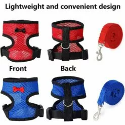 EAUDACè Harnais Souple RéGlable Harnais De Poule 2 PièCes D'éLingue De Poulet Nouvelle Laisse Pour Animaux De Compagnie, RéGlable, Confortable, Respirante, Petite Laisse De Canard Avec Laisse Pour Animaux(M) 9 EAUDACè Harnais Souple RéGlable Harnais De Poule 2 PièCes D'éLingue De Poulet Nouvelle Laisse Pour Animaux De Compagnie, RéGlable, Confortable, Respirante, Petite Laisse De Canard Avec Laisse Pour Animaux(M) -Poulailler et élevage de la basse-cour Soldes Magasin 64737783 5