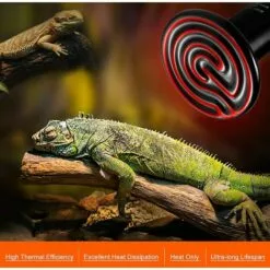 DENUOTOP E27 75W Émetteur Radiateur Animaux Ampoule Infrarouge Chauffage En Céramique,Lampe De Reptile Pour Amphibiens, Serpent, Oiseaux,Tortue, Chat, Chien -Poulailler et élevage de la basse-cour Soldes Magasin 64884467 5