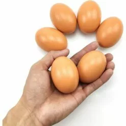 Faux Oeufs De Poule Lot De 6 Faux œufs En Bois Pour Aider à Pondre Des Poules - Outil Agricole - Mannequin De Nid De Volaille 56Vingt -Poulailler et élevage de la basse-cour Soldes Magasin 64938447 3