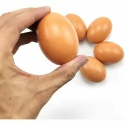Faux Oeufs De Poule Lot De 6 Faux œufs En Bois Pour Aider à Pondre Des Poules - Outil Agricole - Mannequin De Nid De Volaille 56Vingt -Poulailler et élevage de la basse-cour Soldes Magasin 64938447 4