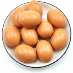 Faux Oeufs De Poule Lot De 6 Faux œufs En Bois Pour Aider à Pondre Des Poules - Outil Agricole - Mannequin De Nid De Volaille 56Vingt -Poulailler et élevage de la basse-cour Soldes Magasin 64938447 5