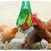SLBRILLèRE Lot De 2 Sacs à Cordes Pour Poulet Et Légumes - Support Pour Fruits De Volaille - Mangeoire à Chou - Outil D'alimentation - Xylophone - Jouet Pour Poules Et Poules