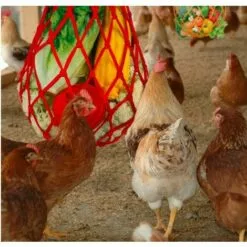 SLBRILLèRE Lot De 2 Sacs à Cordes Pour Poulet Et Légumes - Support Pour Fruits De Volaille - Mangeoire à Chou - Outil D'alimentation - Xylophone - Jouet Pour Poules Et Poules -Poulailler et élevage de la basse-cour Soldes Magasin 65032334 5