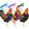 FR-LIFE Harnais Souple RéGlable Harnais De Poule 3 PièCes D'éLingue De Poulet Nouvelle Laisse Pour Animaux De Compagnie, RéGlable, Confortable, Respirante, Petite Laisse De Canard Avec Laisse Pour Animaux—BR-Vie