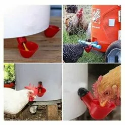 L'FLANEUR 15 Bols D'eau De Poulet Avec Noix, Abreuvoir De Volaille En Plastique équipement D'élevage Pour Buveur De Caille D'oiseau De Poulet ANEUR 6 L'FLANEUR 15 Bols D'eau De Poulet Avec Noix, Abreuvoir De Volaille En Plastique équipement D'élevage Pour Buveur De Caille D'oiseau De Poulet ANEUR -Poulailler et élevage de la basse-cour Soldes Magasin 65355010 3