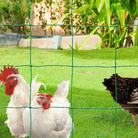 IDMARKET Kit Clôture électrifiable Filet à Poules 12 M Avec Porte 6 Piquets Double Pointe 5 IDMARKET Kit Clôture électrifiable Filet à Poules 12 M Avec Porte 6 Piquets Double Pointe – Image 5