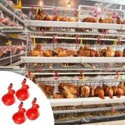 KAEJYIUT 4 Pcs,Abreuvoir Poules, Volaille Automatique Abreuvoir, Abreuvoirs Automatiques De Poulet, Outil D'Abreuvement Pour Volaille, Convient Aux Oiseaux Rouge -Poulailler et élevage de la basse-cour Soldes Magasin 65391509 3