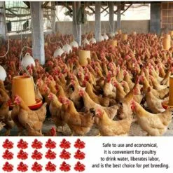 LONVRèE 18 Pcs,Abreuvoir Automatique Poule,TéTine à Eau De Volaille,Abreuvoir Poules ,Nouvelle Fontaine Boire Pour Poulet, Volaille Rouge,Adapté Aux Poules, Canards, Volailles (#1) -Poulailler et élevage de la basse-cour Soldes Magasin 65642565 5