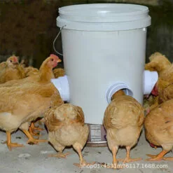 DONTODENT DIY Mangeoire Poules, 4 Anti Nuisible Mangeoire Poules Ports, Automatique Volailles Poules Mangeoire Pour Seaux, Fûts, Bacs Et Auges -Poulailler et élevage de la basse-cour Soldes Magasin 65869171 3