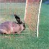 GALLAGHER Filet Cloture Electrique Lapin - Gallangher - 50m X 65cm
