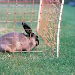 GALLAGHER Filet Cloture Electrique Lapin - Gallangher - 50m X 65cm