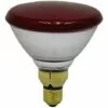 Ampoule Chauffante - Infrarouge - 100 W - Universel