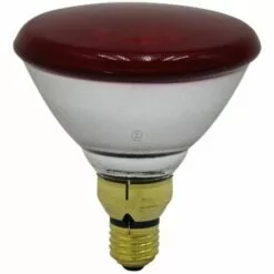 Ampoule Chauffante - Infrarouge - 100 W - Universel