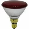 Ampoule Chauffante - Infrarouge - 175 W - Universel