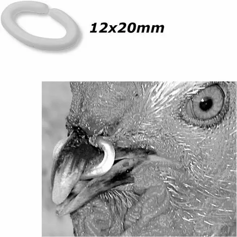 CYCLINGCOLORS 50x Anneau Anti-picage Grosse Taille 12x20mm Volaille Adulte Poule Coq Faisan Perdrix 2 CYCLINGCOLORS 50x Anneau Anti-picage Grosse Taille 12x20mm Volaille Adulte Poule Coq Faisan Perdrix – Image 2