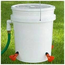 Animalerie Distributeurs D'eau Automatique Pour Poulet Canard Volaille - Automatique De L'eau Potable Tasses Bird Coop Feed Volaille Poulet Volailles Abreuvoir D'eau Potable Tasses (12 Pcs) LangRay -Poulailler et élevage de la basse-cour Soldes Magasin 66811002 4