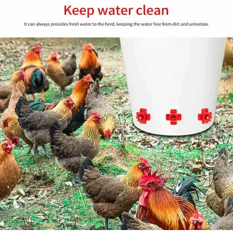 OUSUDELA Tétine à Eau De Volaille, Abreuvoir Automatique Pour Tétine De Poulet Avec Montage Latéral Horizontal, Abreuvoir Pour Poulets Deau, Lot De 12 2 OUSUDELA Tétine à Eau De Volaille, Abreuvoir Automatique Pour Tétine De Poulet Avec Montage Latéral Horizontal, Abreuvoir Pour Poulets Deau, Lot De 12 – Image 2