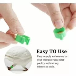 MONLY 300 Anneaux De Pied De Volaille, Petits Anneaux De Serrage De Volaille, Bandes De Volaille Pour Marquer Les Oiseaux, Perroquets, Pigeons, Cailles, Poussins (Jaune/bleu/blanc/violet/rouge/vert)，Fonepro -Poulailler et élevage de la basse-cour Soldes Magasin 67668130 4
