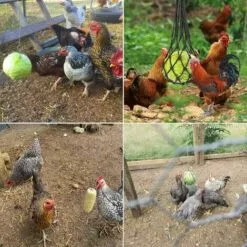 OYLDA Sac à Légumes, Fruits Et Gâteries Pour Poules, 2 Pièces, Noir -Poulailler et élevage de la basse-cour Soldes Magasin 68139693 4