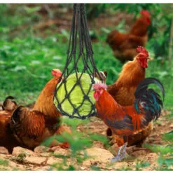 OYLDA Sac à Légumes, Fruits Et Gâteries Pour Poules, 2 Pièces, Noir -Poulailler et élevage de la basse-cour Soldes Magasin 68139693 5