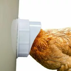 OYLDA Kit D'alimentation Par Gravité Pour Poulets, Résistant à La Pluie Et Au Vent -Poulailler et élevage de la basse-cour Soldes Magasin 68140079 4