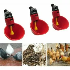 LLOVE Abreuvoir à Poule Automatique Tasses D'eau Potable Rouge Abreuvoir Poules Bien Pratique En Plastique Pour Oiseaux Poule Volaille - 5PCS -Poulailler et élevage de la basse-cour Soldes Magasin 68201772 5