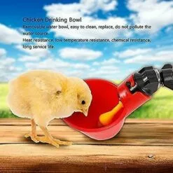 ZHUOXUAN Abreuvoir De Volaille 5 Pièces, Abreuvoir De Poulet, Abreuvoir De Poulet Automatique 7 ZHUOXUAN Abreuvoir De Volaille 5 Pièces, Abreuvoir De Poulet, Abreuvoir De Poulet Automatique -Poulailler et élevage de la basse-cour Soldes Magasin 68274935 3