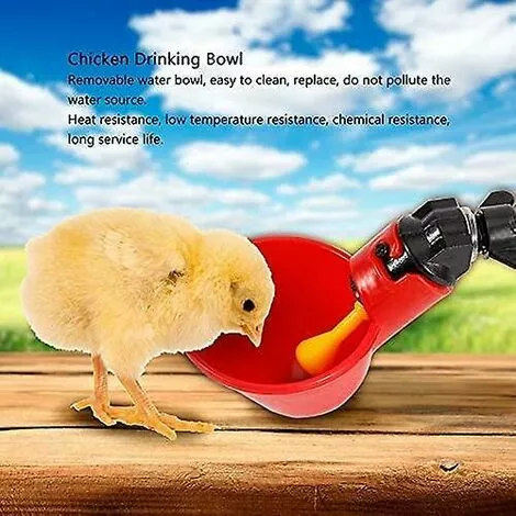 ZHUOXUAN Abreuvoir De Volaille 5 Pièces, Abreuvoir De Poulet, Abreuvoir De Poulet Automatique 3 ZHUOXUAN Abreuvoir De Volaille 5 Pièces, Abreuvoir De Poulet, Abreuvoir De Poulet Automatique – Image 3